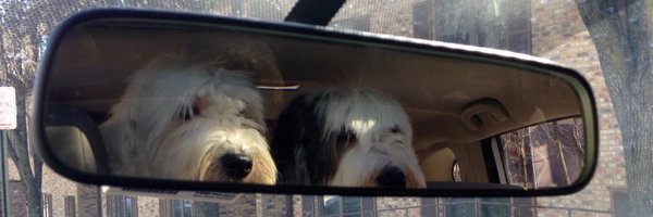 BillZitoNEWS Profile Banner