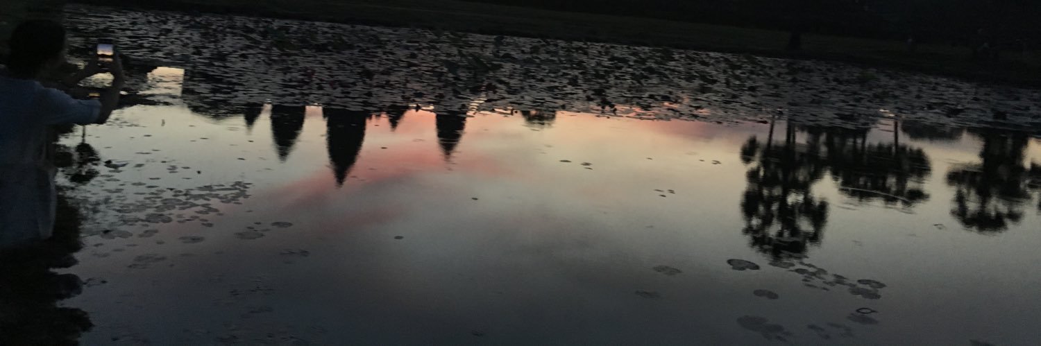 Establishmentarian banner