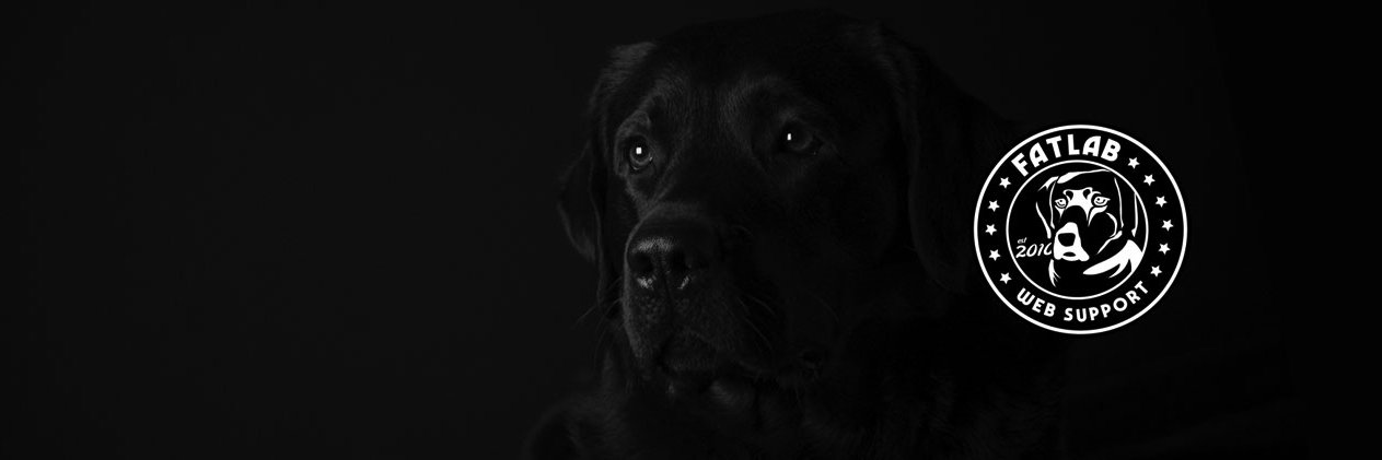fatlabllc's profile banner image