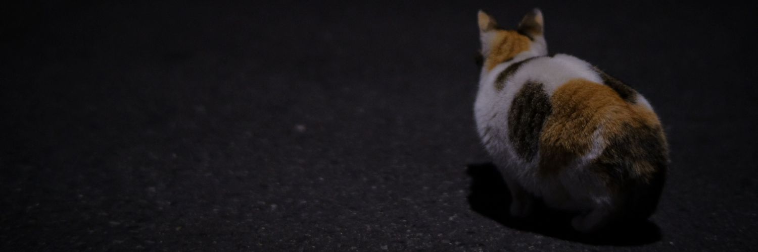 afonomics's profile banner image