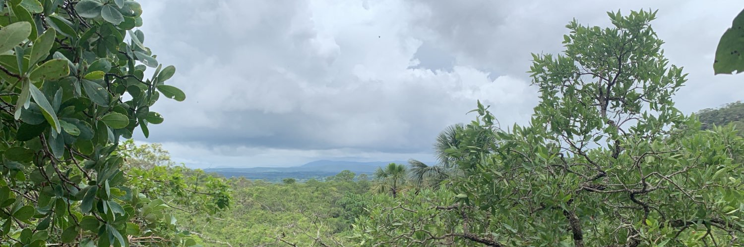 ArthurCalaa's profile banner image