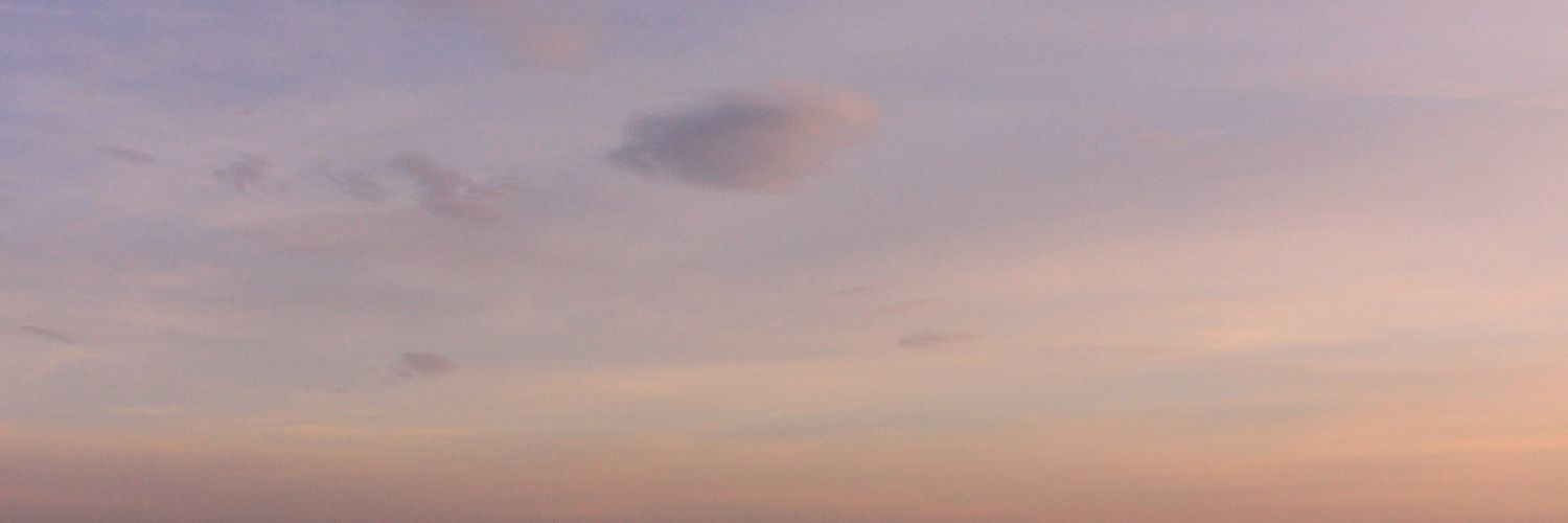 чика-клубника⁷ 🍓🐥 banner