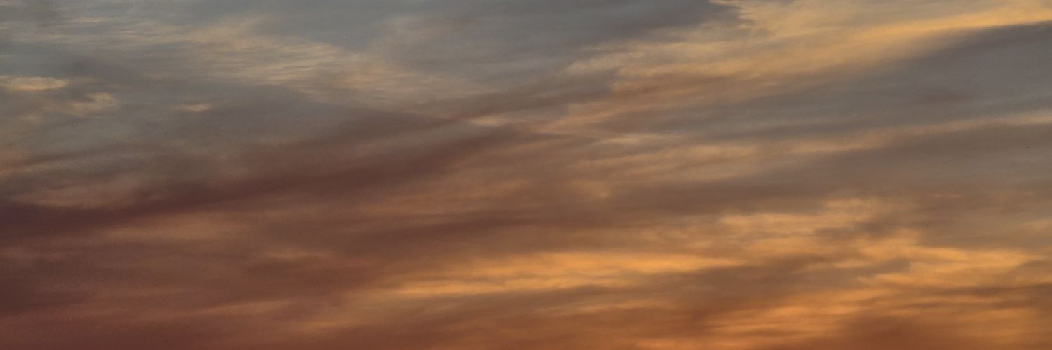 mxrionz's profile banner image