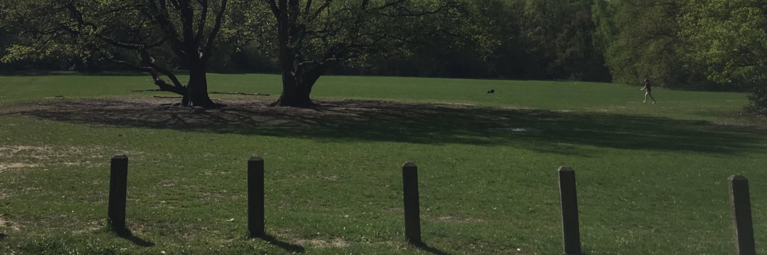 Titia Vriesendorp banner