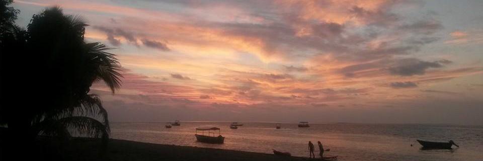 Emma Pratt Richens banner