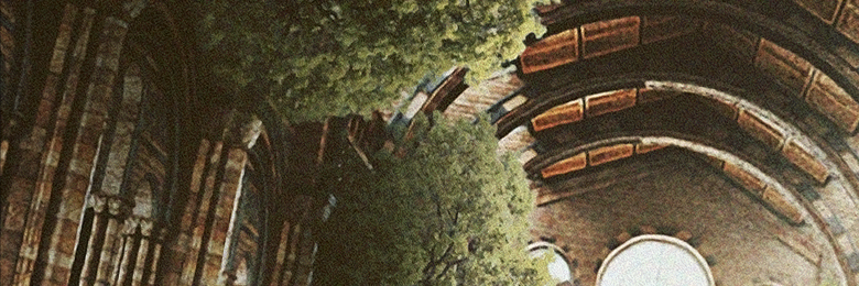 PerfectFold's profile banner image