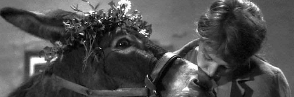 Acribie77's profile banner image