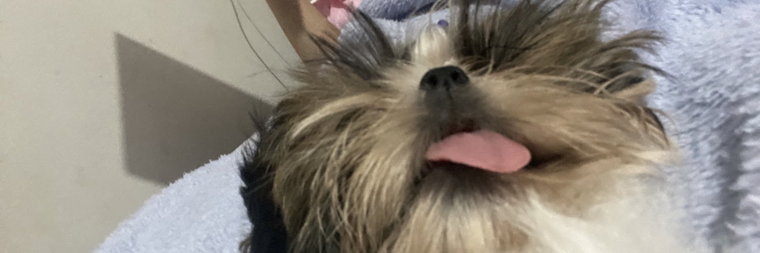 thaisttp's profile banner image