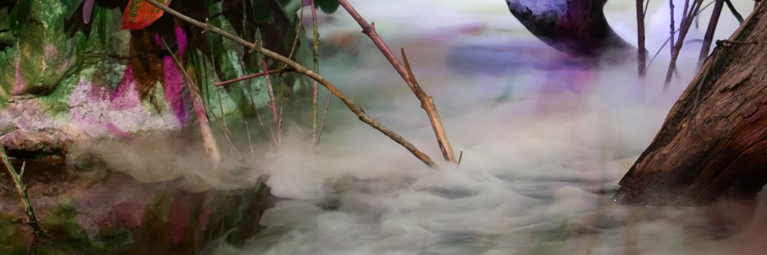 AdamTWSD banner