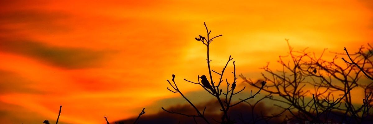 Edin_Archila's profile banner image