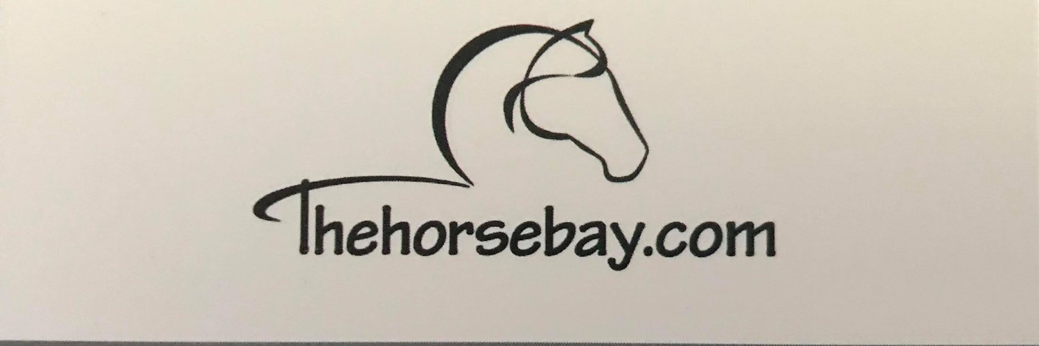 thehorsebaycom's profile banner image