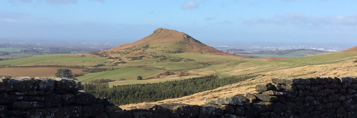 Daniel Watson banner