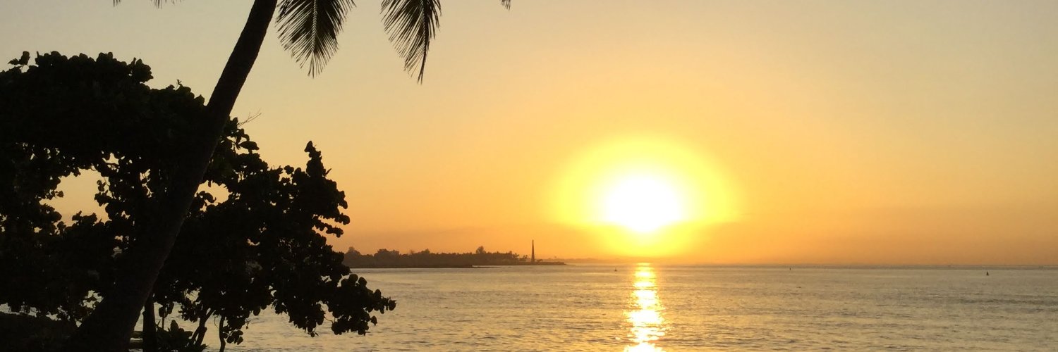 weina_ltd's profile banner image