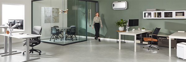 Fellowes Brands banner