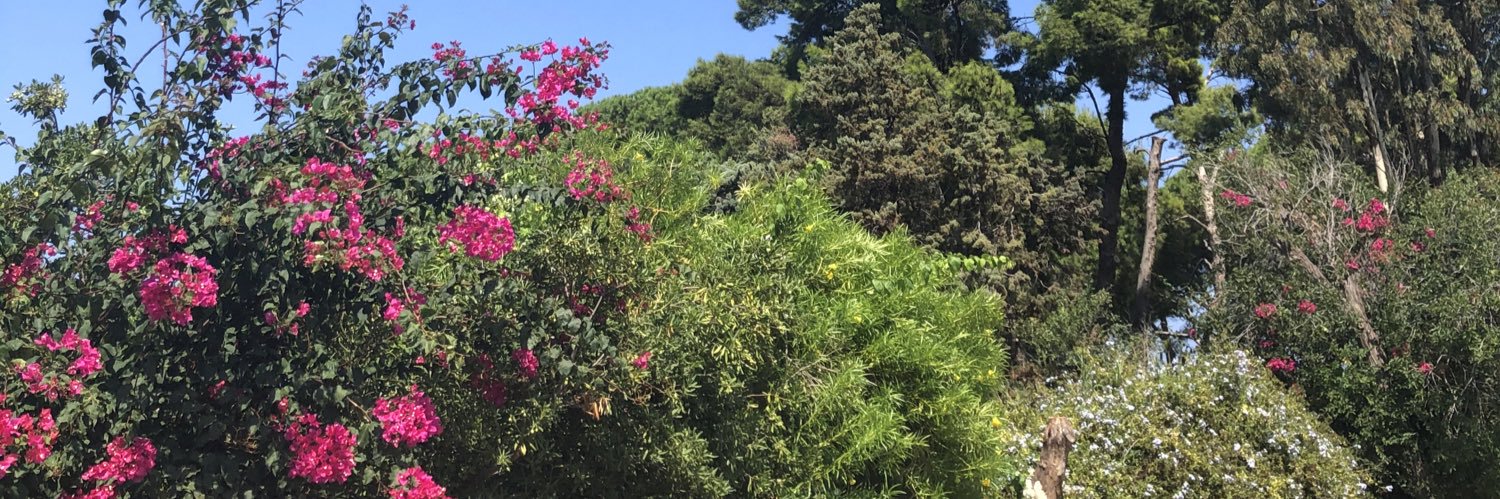Torino_S_D's profile banner image