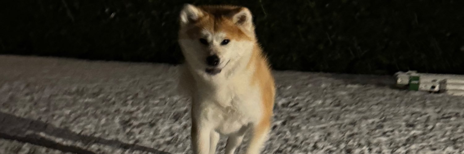 Lorenzo Cherubin banner