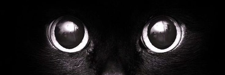 bbbbuuuusssseee's profile banner image