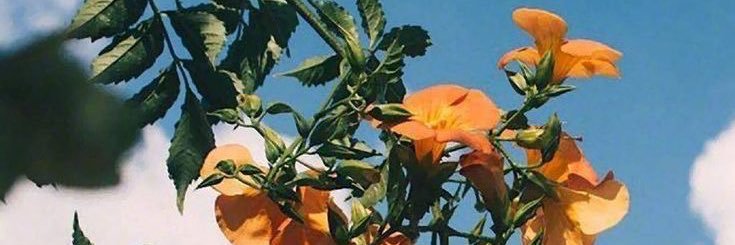 snow_m____'s profile banner image