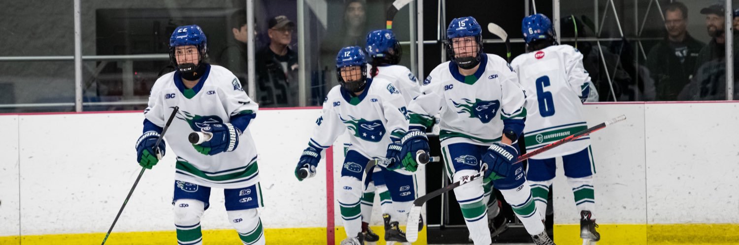 Greater Vancouver Comets u18 AAA banner