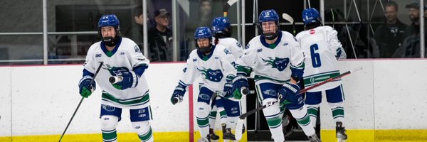 GVComets_aaa Profile Banner