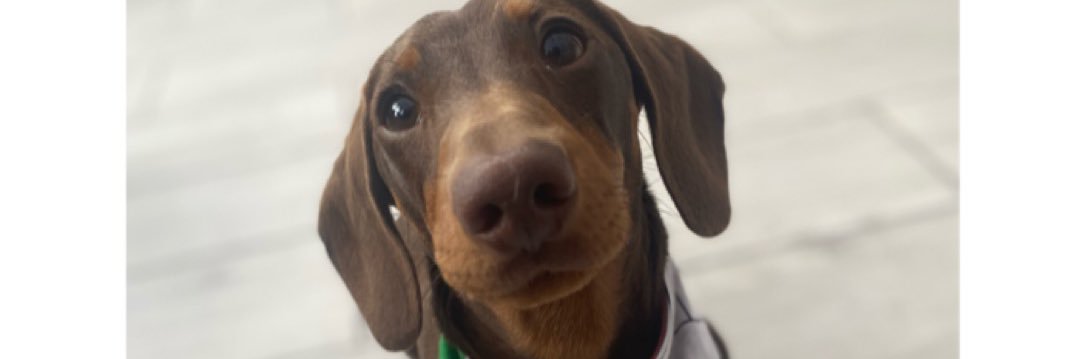 NatRob20's profile banner image