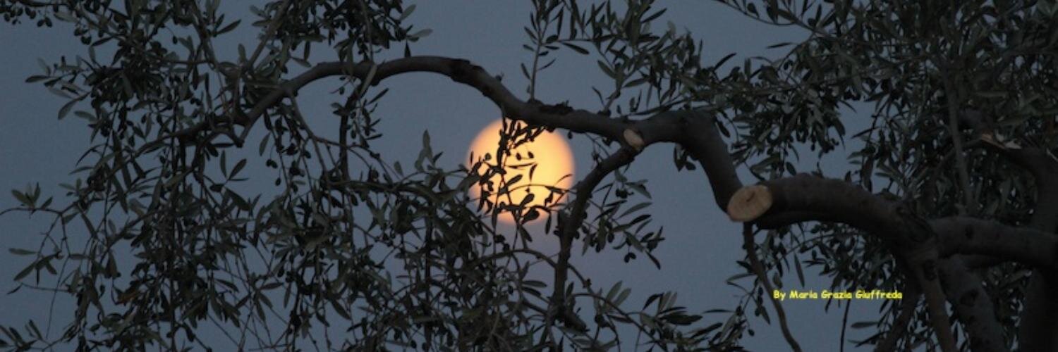 MariaGraziaGiuffreda banner