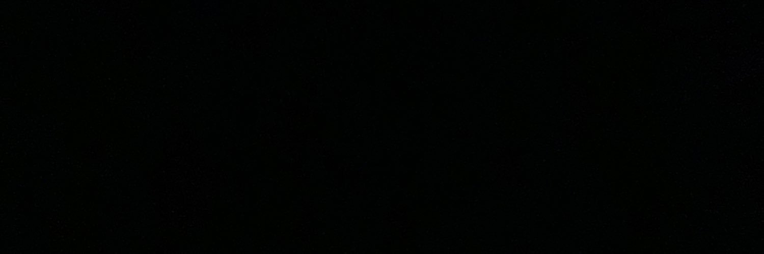 sofiaabrandoni's profile banner image