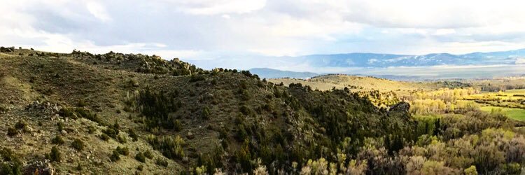 SummerCerny's profile banner image