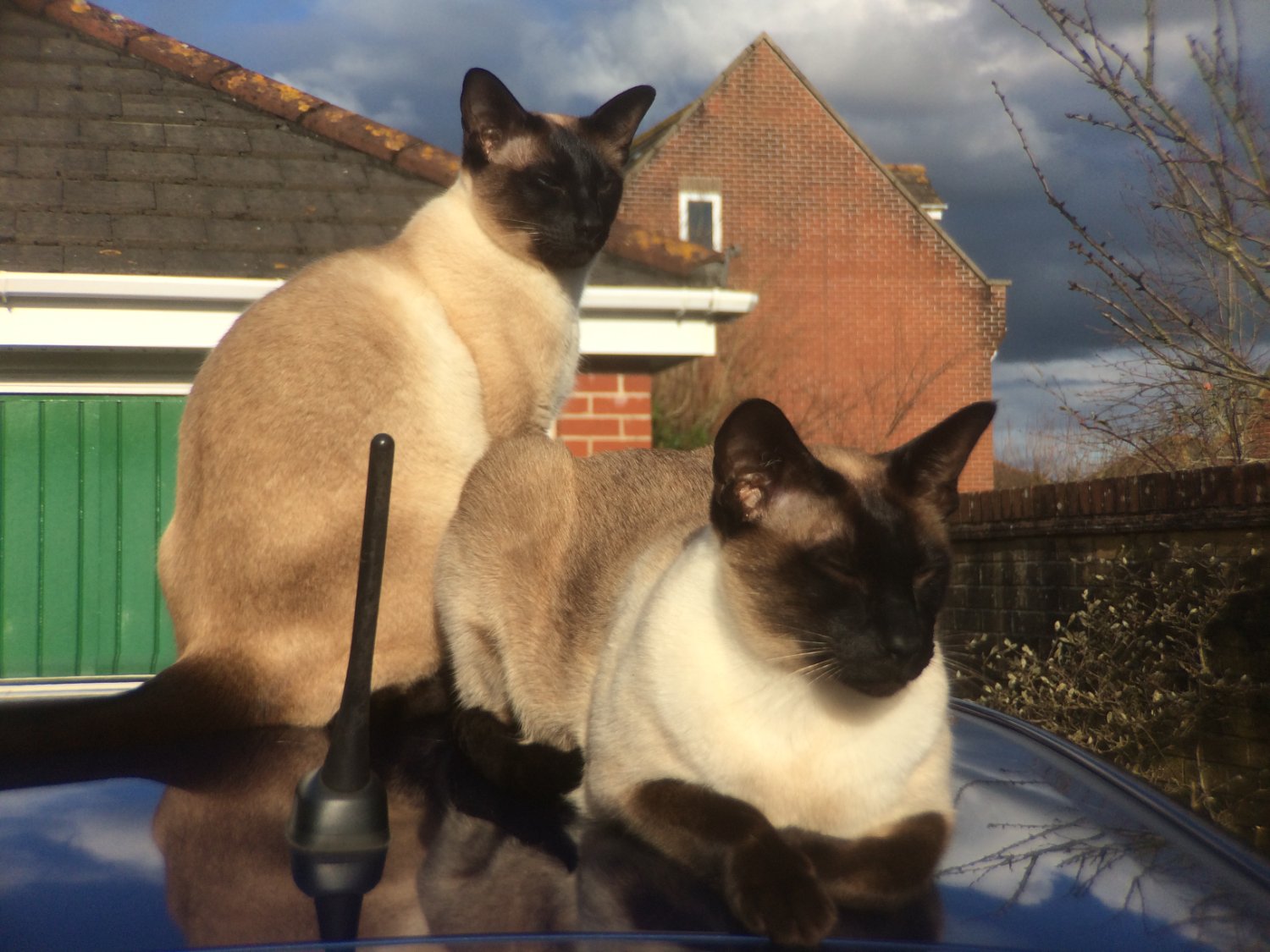 Mark Harrison banner