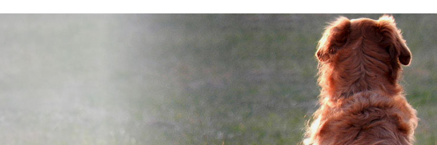 wanderingsef's profile banner image