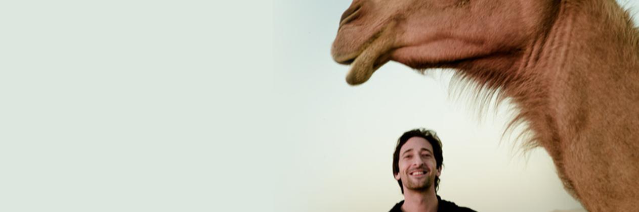 Adrien Brody banner