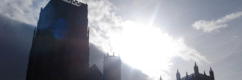 Prof Deirdre McCann banner