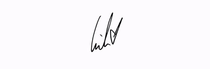 lscnizer's profile banner image