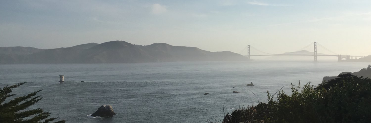 erindress's profile banner image