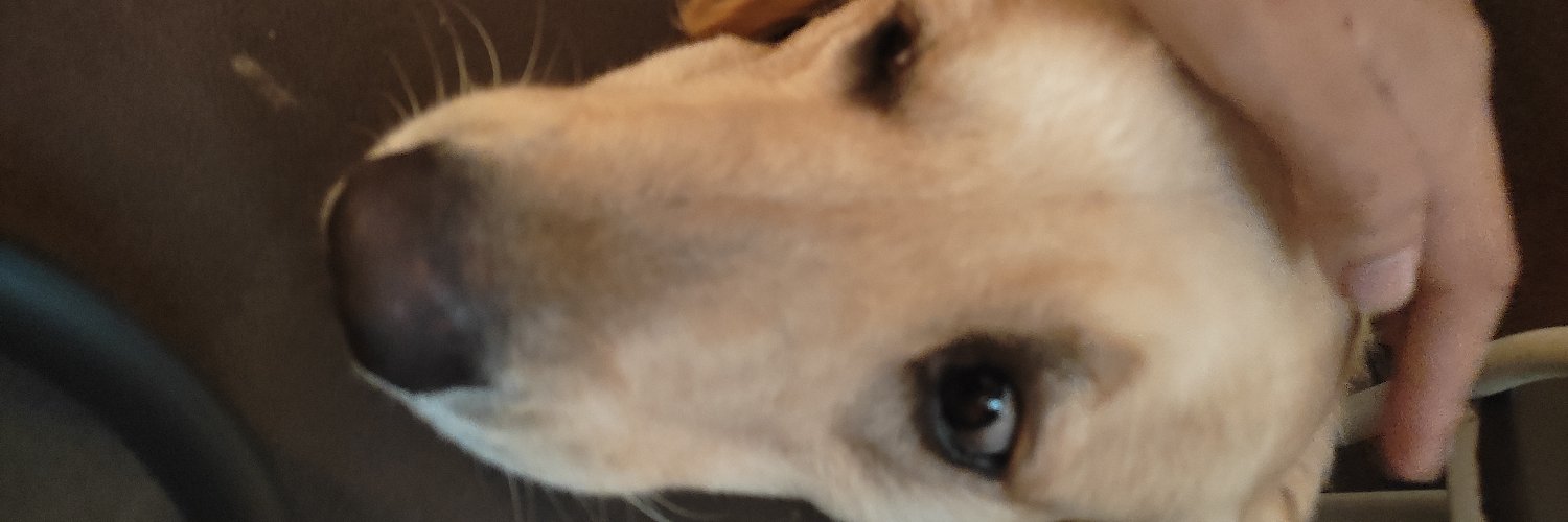 XondP's profile banner image
