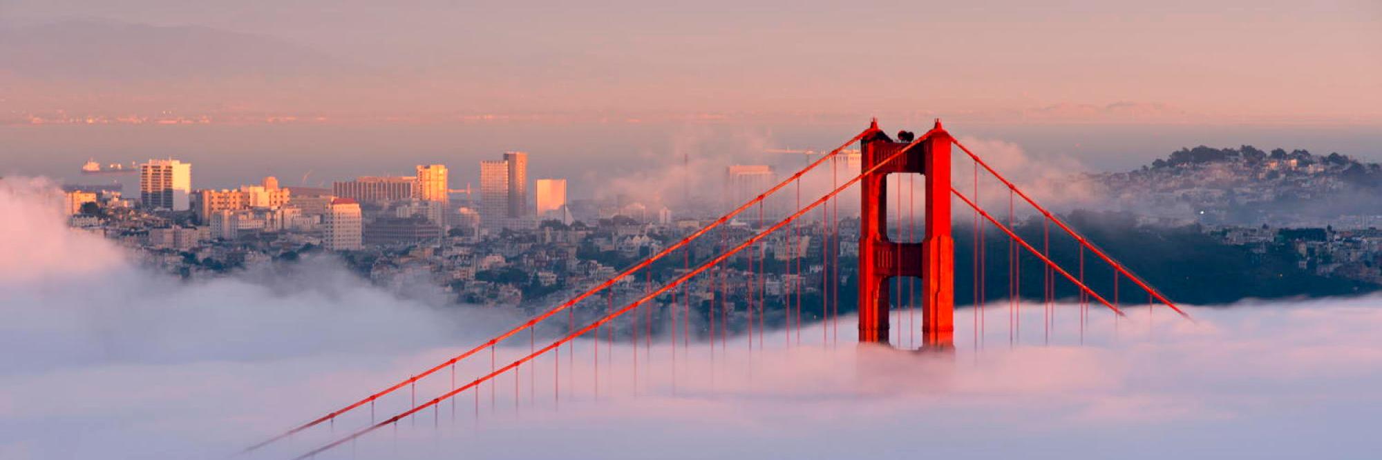 singleinfogcity's profile banner image