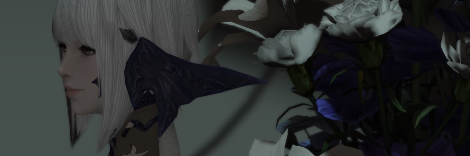 tohco_k's profile banner image