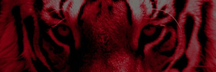 LotharCF's profile banner image