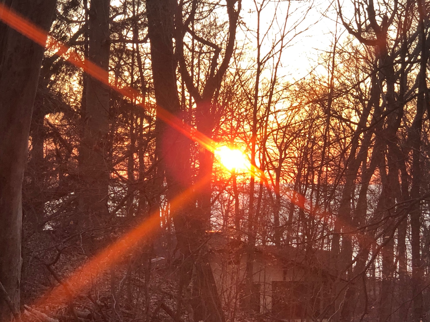 FoleyD608's profile banner image