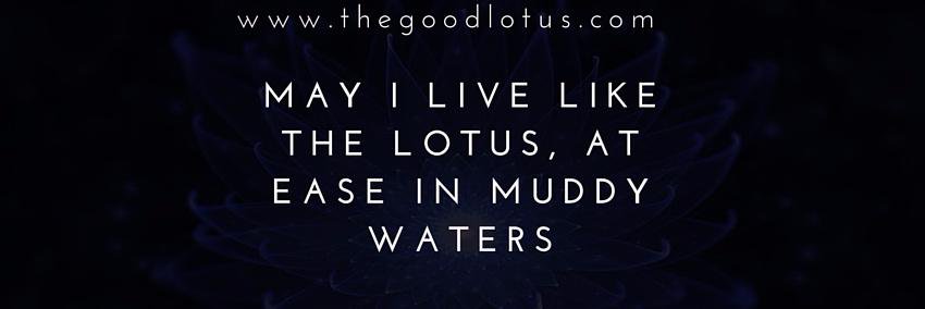 TheGoodLotus's profile banner image