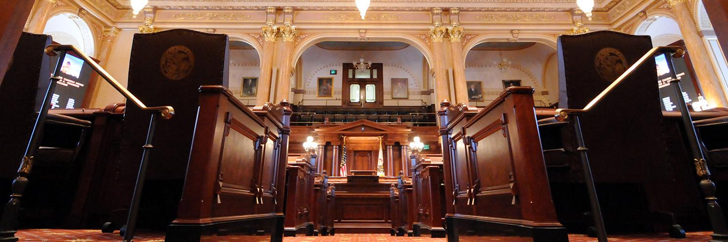 Senator Linda Holmes banner