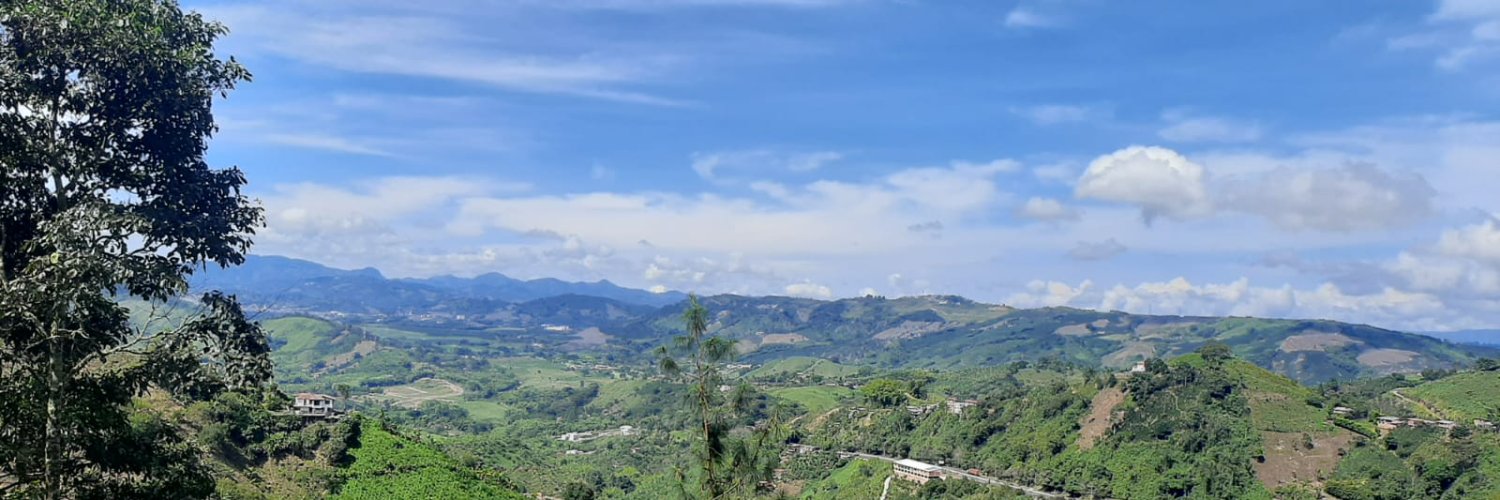 consuelogarzonm's profile banner image