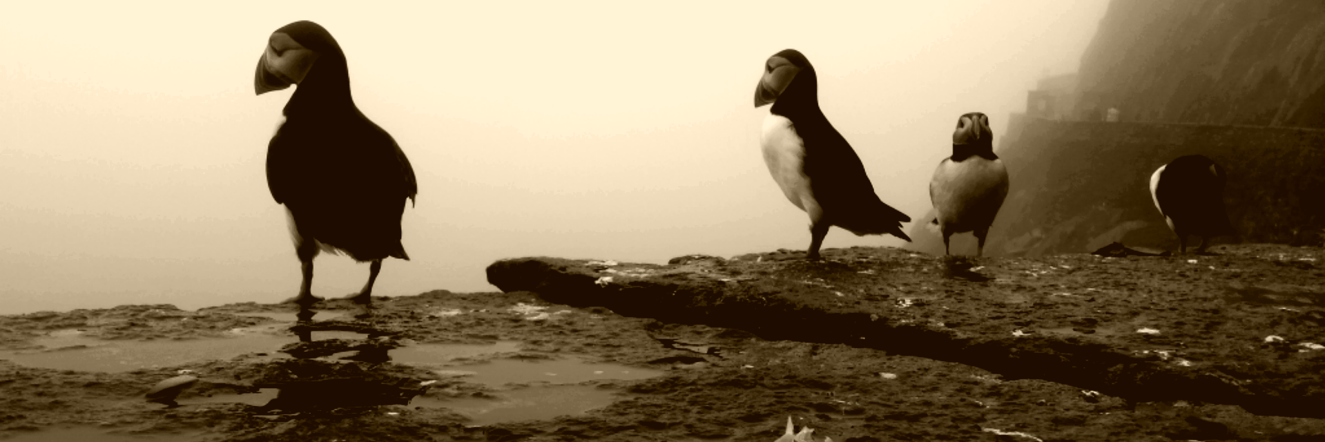 michaelore_o's profile banner image