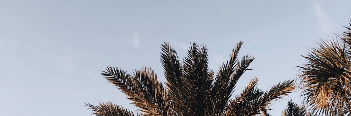 nicole_scholla's profile banner image