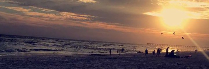 cassidee_w's profile banner image