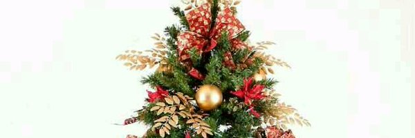 filabone Profile Banner