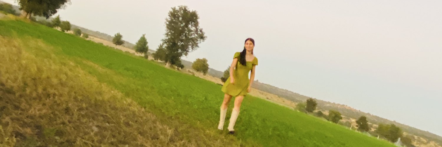 balavest's profile banner image