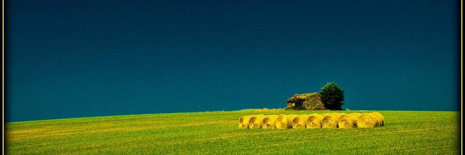 stephericsson's profile banner image