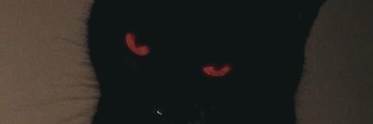 heavyy 🎸👹 banner