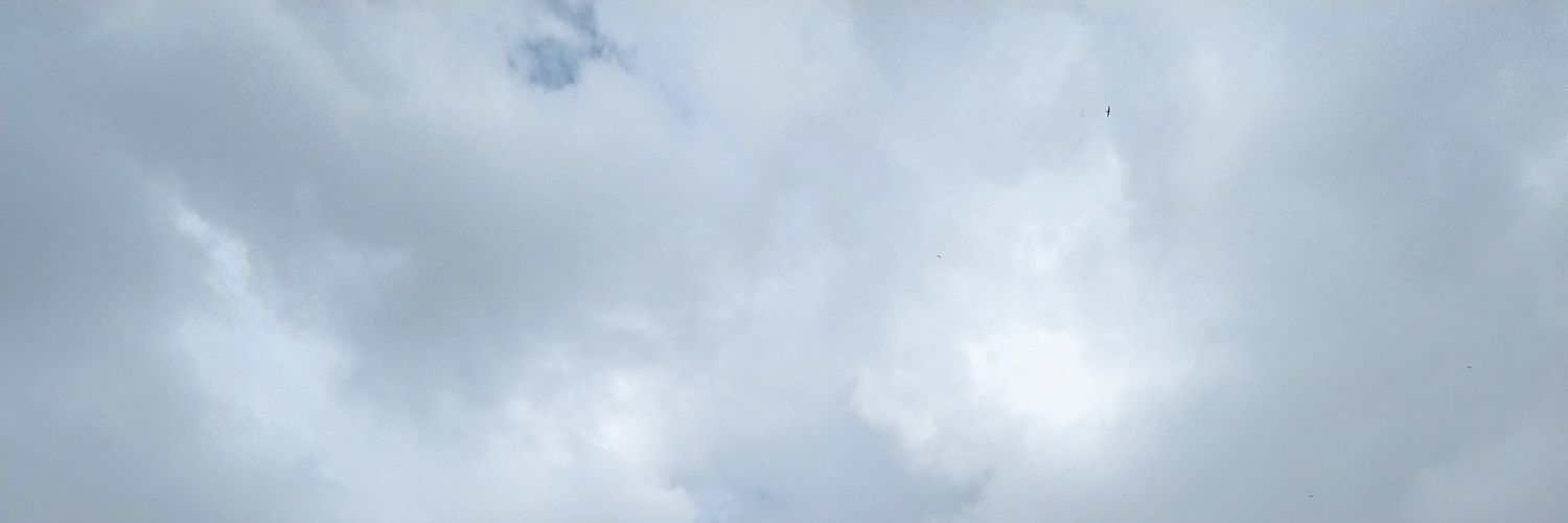 leoliny's profile banner image